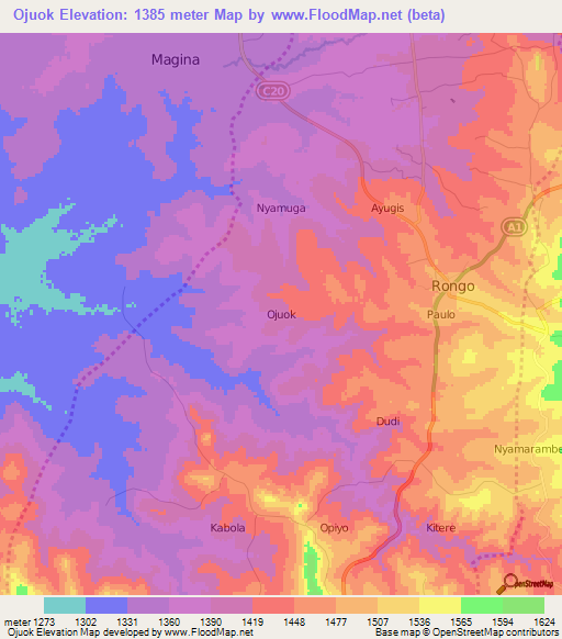 Ojuok,Kenya Elevation Map