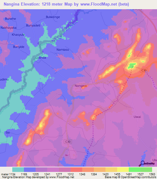 Nangina,Kenya Elevation Map