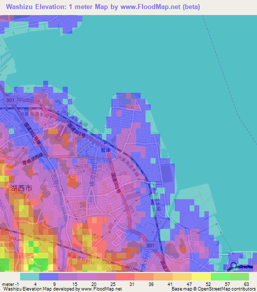 Washizu,Japan Elevation Map