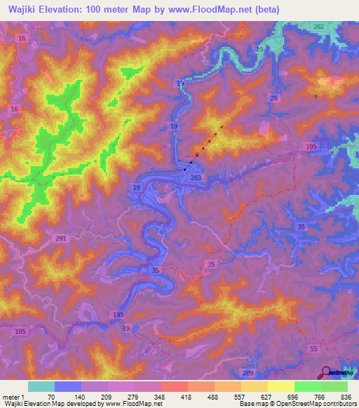 Wajiki,Japan Elevation Map