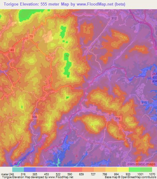 Torigoe,Japan Elevation Map