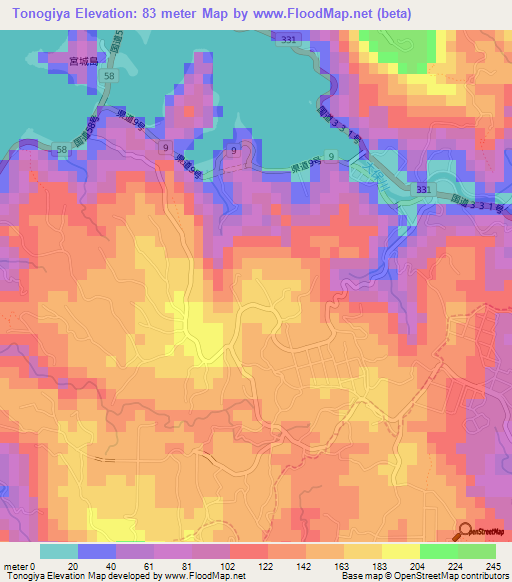 Tonogiya,Japan Elevation Map