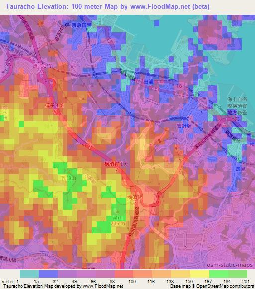 Tauracho,Japan Elevation Map