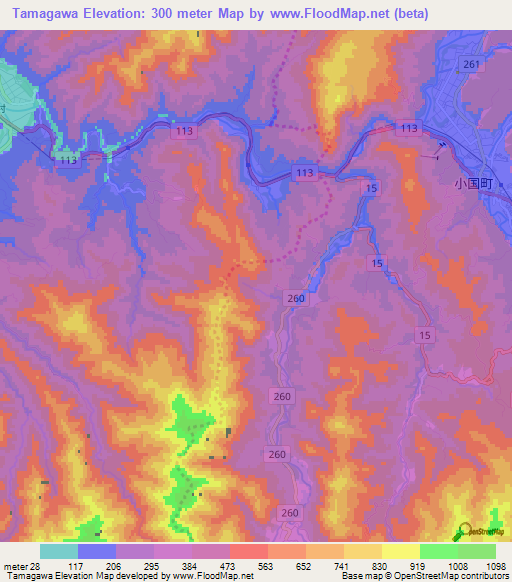 Tamagawa,Japan Elevation Map