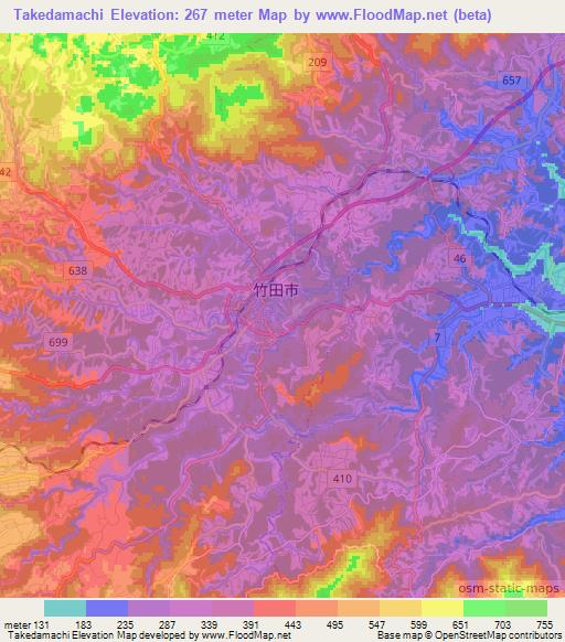 Takedamachi,Japan Elevation Map