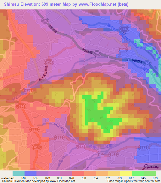 Shirasu,Japan Elevation Map
