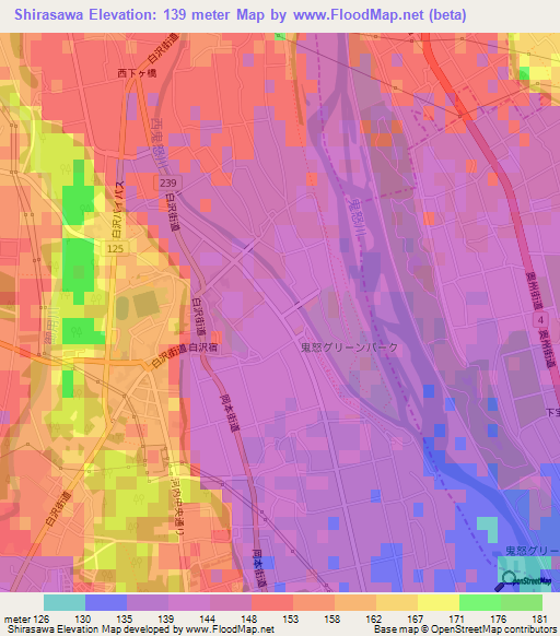 Shirasawa,Japan Elevation Map