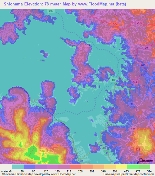 Shiohama,Japan Elevation Map
