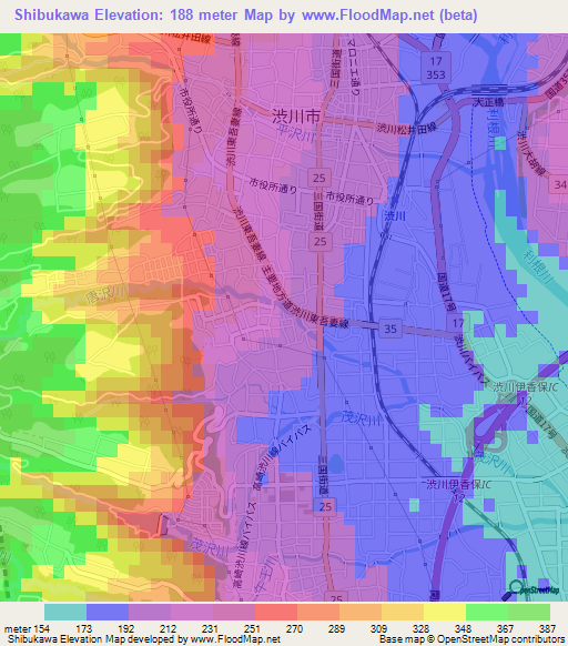 Shibukawa,Japan Elevation Map