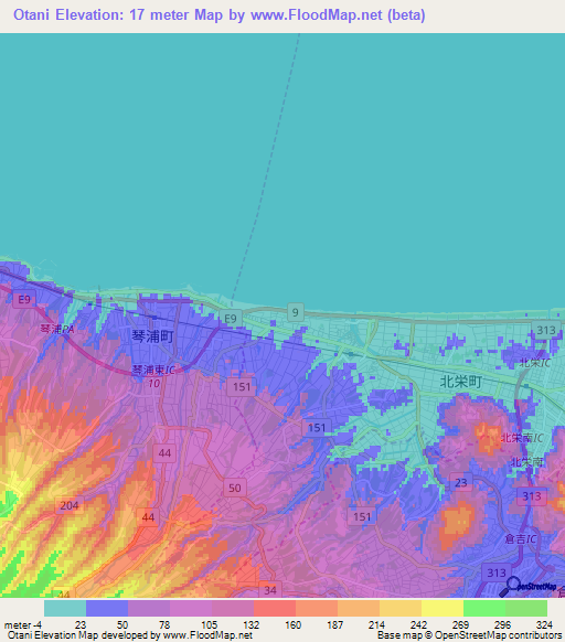 Otani,Japan Elevation Map