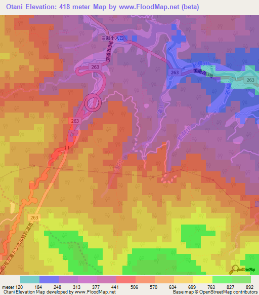 Otani,Japan Elevation Map