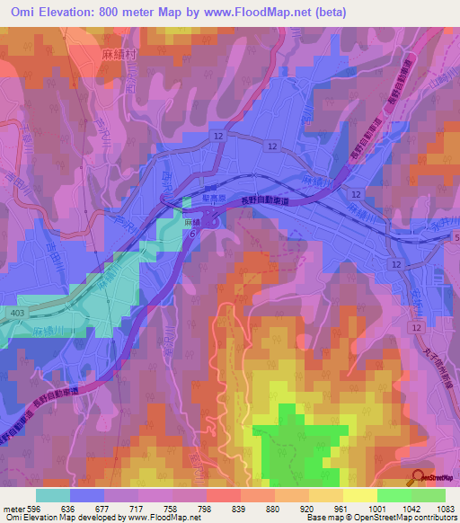 Omi,Japan Elevation Map