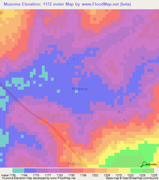 Musoma,Kenya Elevation Map