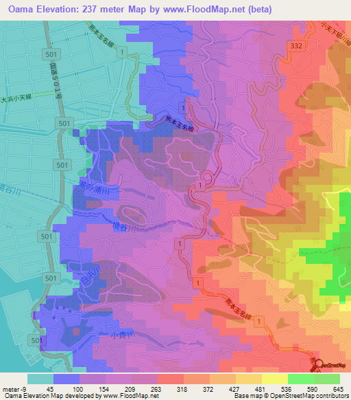 Oama,Japan Elevation Map