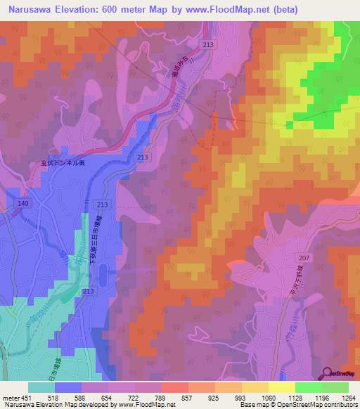 Narusawa,Japan Elevation Map