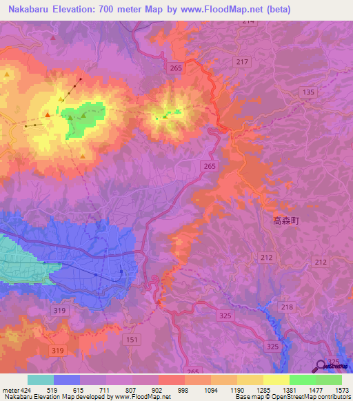 Nakabaru,Japan Elevation Map