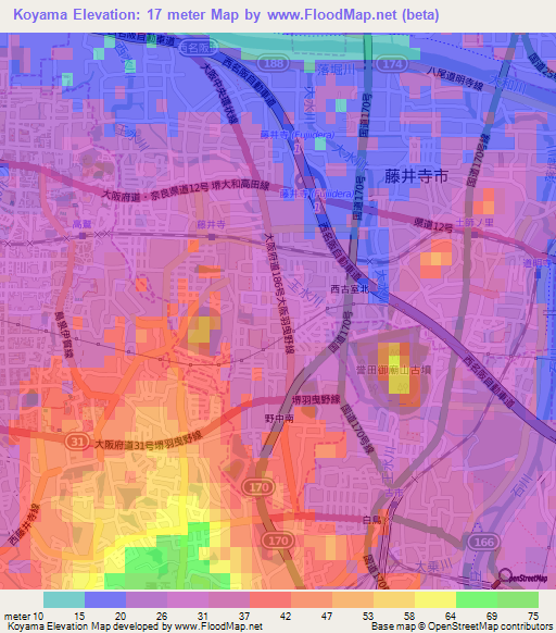 Koyama,Japan Elevation Map