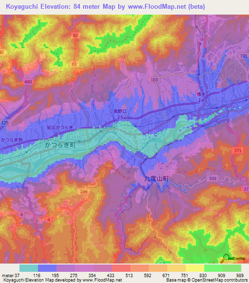 Koyaguchi,Japan Elevation Map