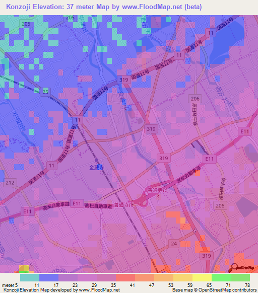 Konzoji,Japan Elevation Map