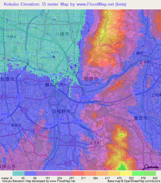Kokubu,Japan Elevation Map