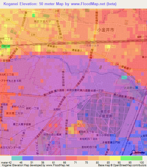 Koganei,Japan Elevation Map