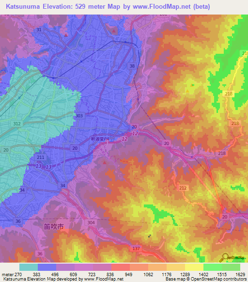 Katsunuma,Japan Elevation Map