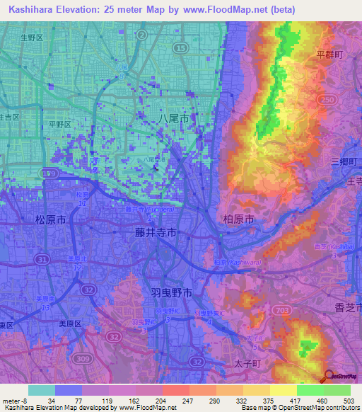 Kashihara,Japan Elevation Map