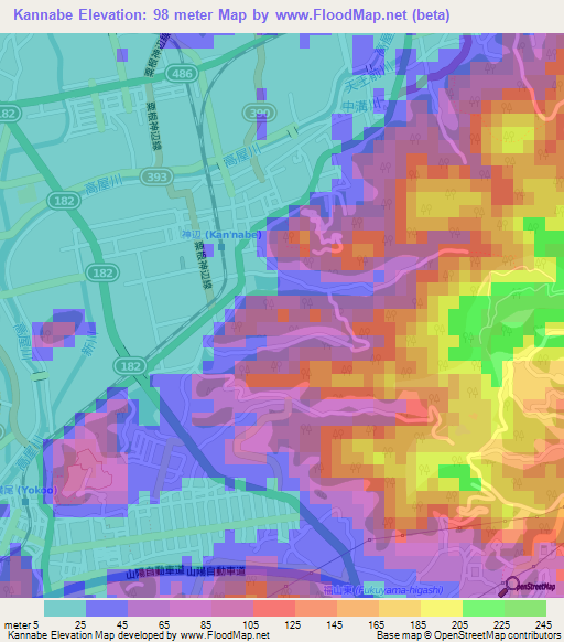 Kannabe,Japan Elevation Map
