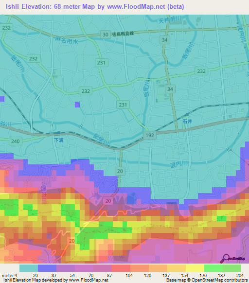 Ishii,Japan Elevation Map