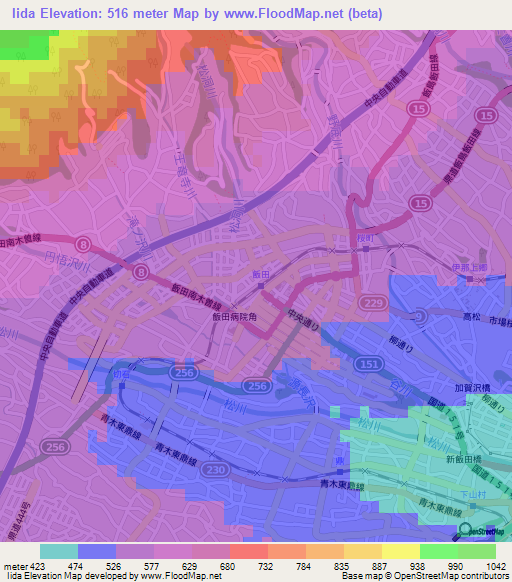 Iida,Japan Elevation Map