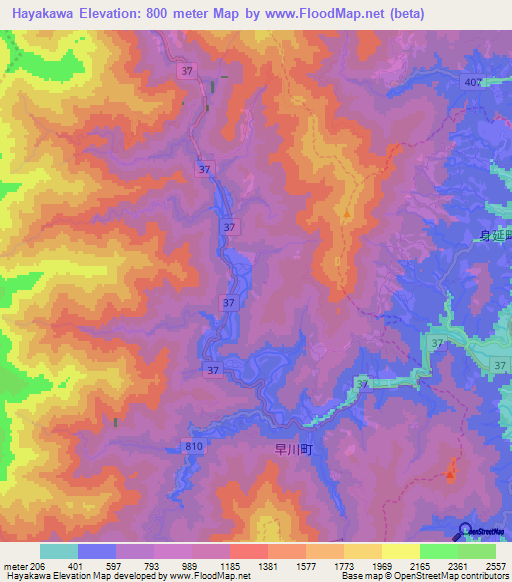 Hayakawa,Japan Elevation Map