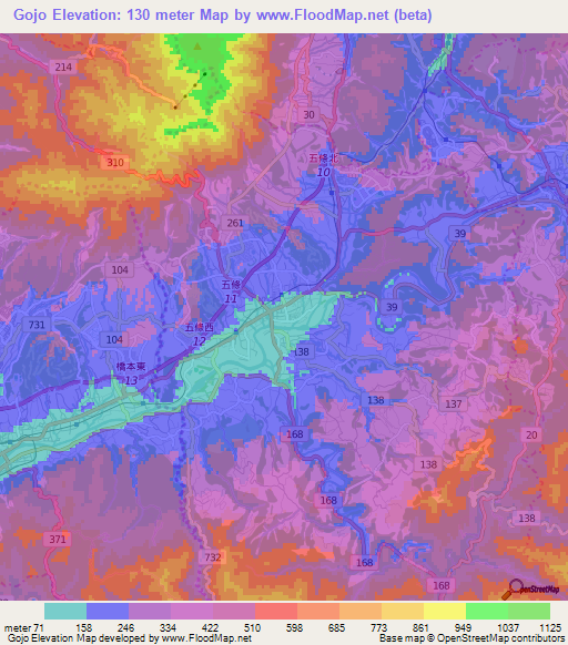 Gojo,Japan Elevation Map