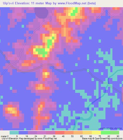 Uip'o-ri,North Korea Elevation Map