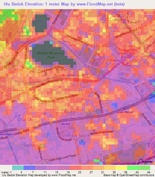 Ulu Bedok,Singapore Elevation Map