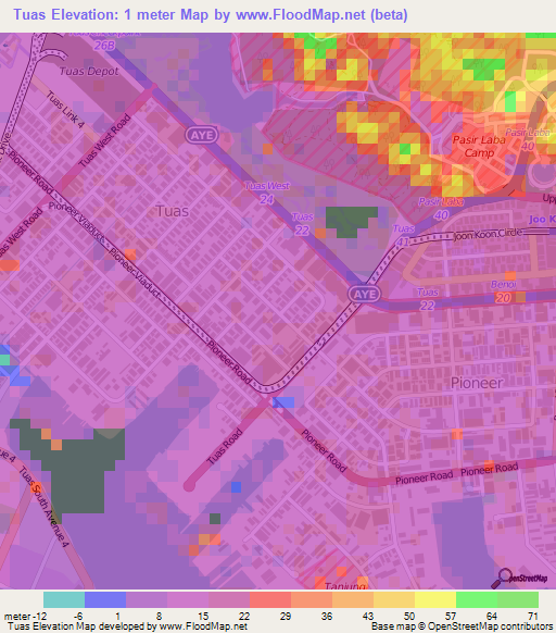 Tuas,Singapore Elevation Map