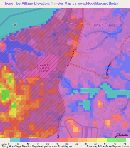 Thong Hoe Village,Singapore Elevation Map