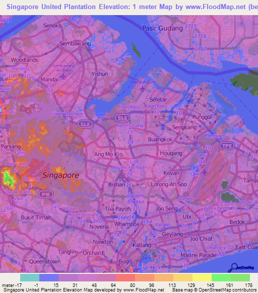 Singapore United Plantation,Singapore Elevation Map