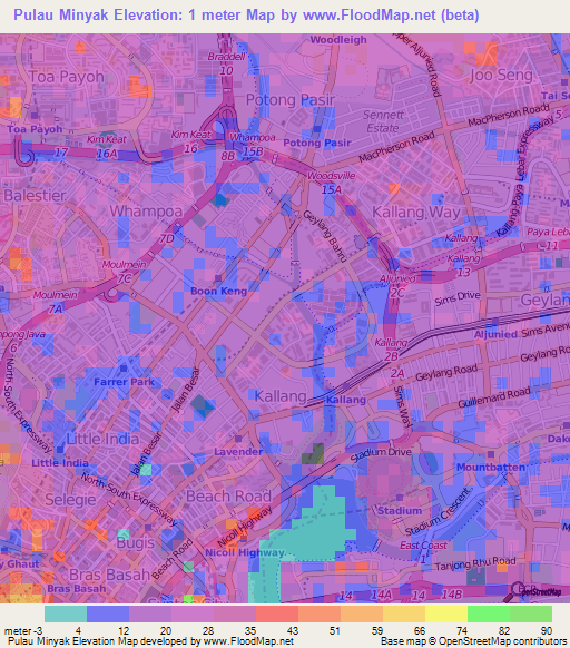 Pulau Minyak,Singapore Elevation Map