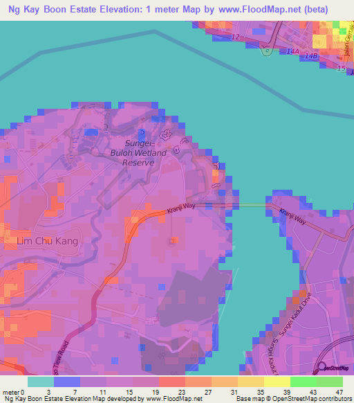 Ng Kay Boon Estate,Singapore Elevation Map