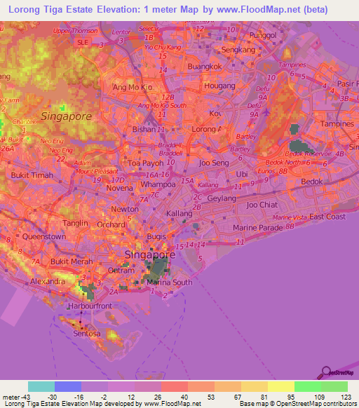 Lorong Tiga Estate,Singapore Elevation Map
