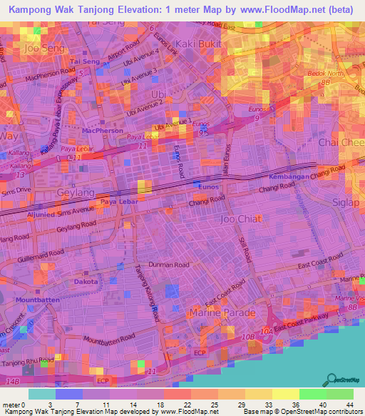 Kampong Wak Tanjong,Singapore Elevation Map