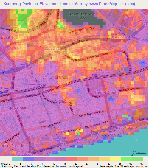 Kampong Pachitan,Singapore Elevation Map