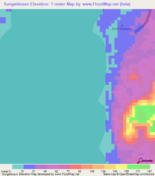 Sungaidusun,Indonesia Elevation Map