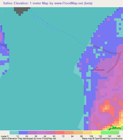 Salino,Indonesia Elevation Map