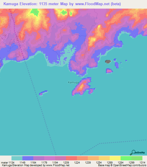Kamuga,Kenya Elevation Map