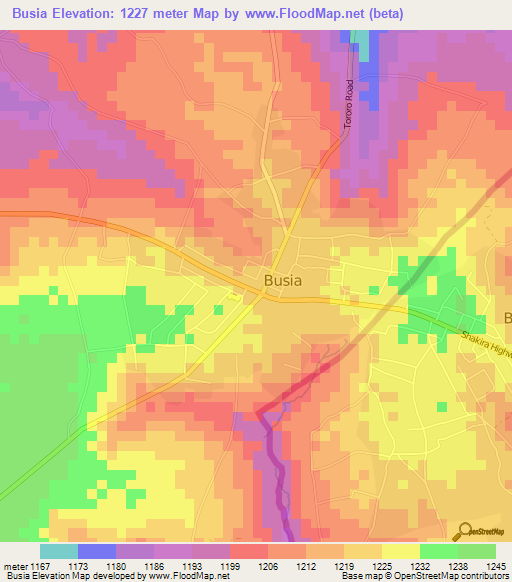 Busia,Kenya Elevation Map