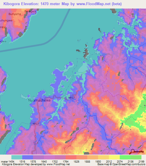 Kibogora,Rwanda Elevation Map