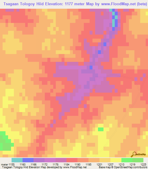 Tsagaan Tologoy Hiid,Mongolia Elevation Map