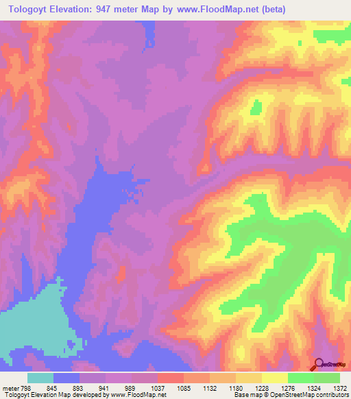Tologoyt,Mongolia Elevation Map