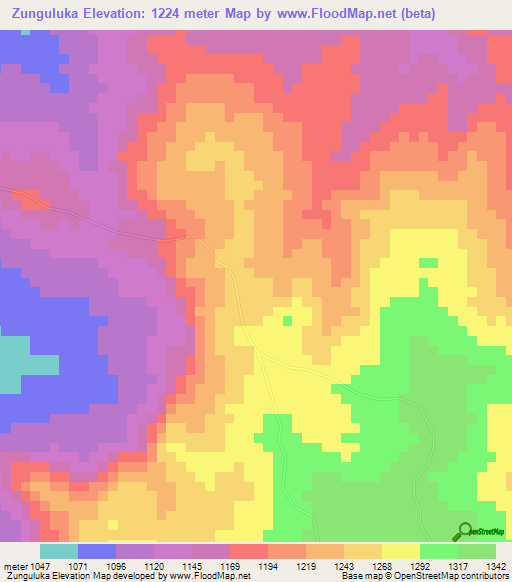 Zunguluka,Congo (Kinshasa) Elevation Map